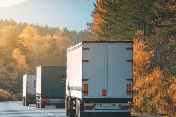 Ankara Ortaca Nakliyat